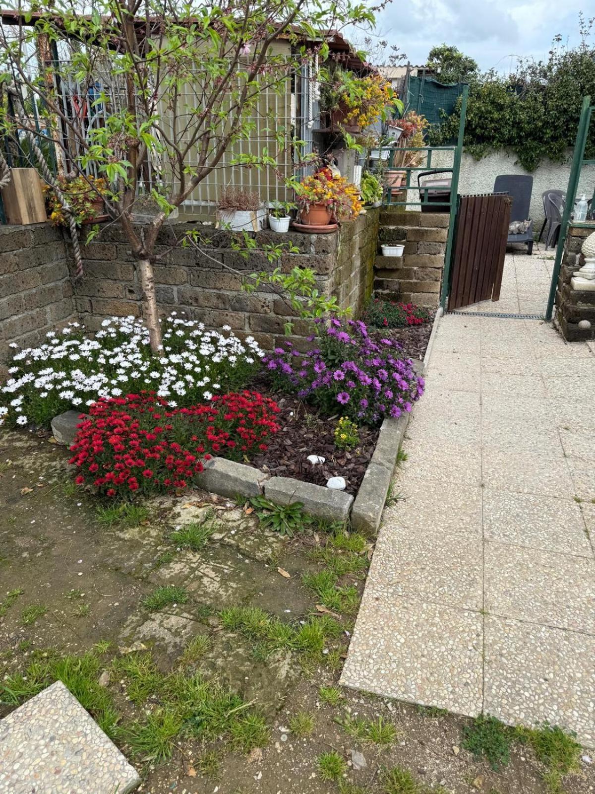 Flower House Чивитавекия Екстериор снимка